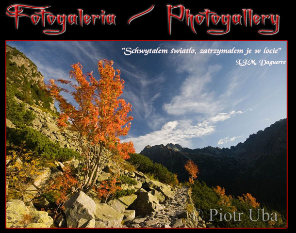 Fotogaleria - Piotr Uba